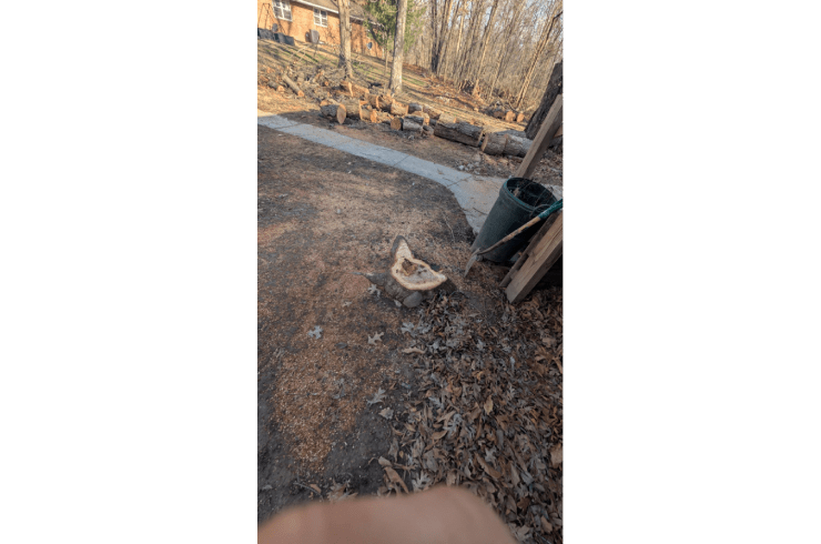 True Cut Tree Service